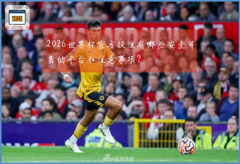 2026世界杯官方投注有哪些安全可靠的平台和注意事项？