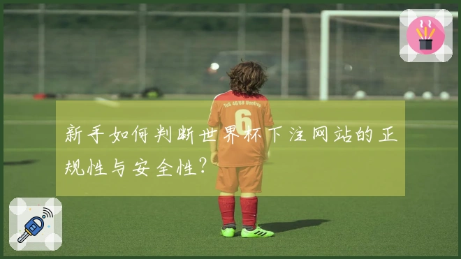 新手如何判断世界杯下注网站的正规性与安全性？