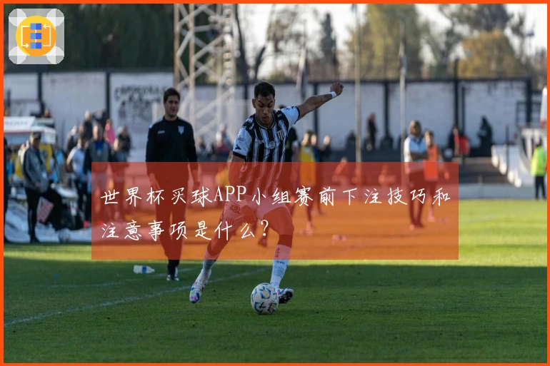 世界杯买球APP小组赛前下注技巧和注意事项是什么？