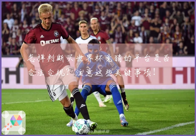怎样判断买世界杯竞猜的平台是否合法合规？注意这些关键事项！