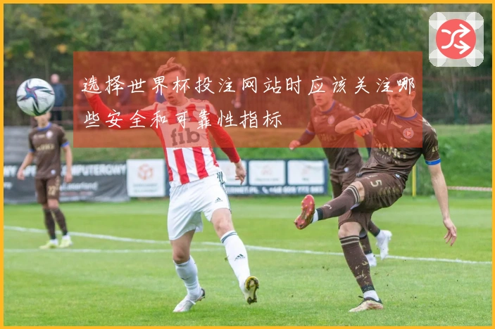 选择世界杯投注网站时应该关注哪些安全和可靠性指标