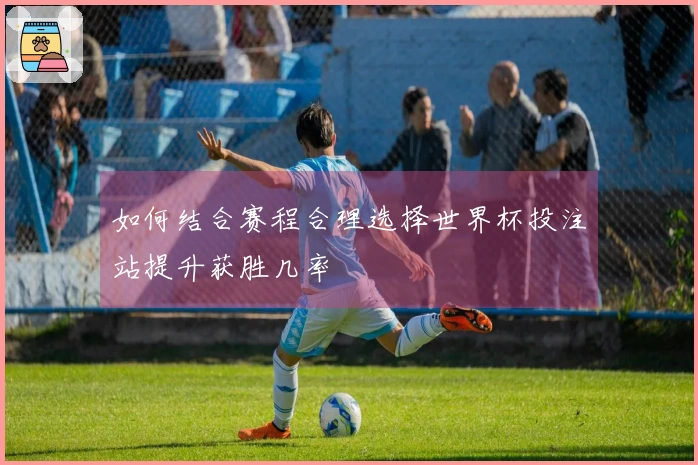 如何结合赛程合理选择世界杯投注站提升获胜几率