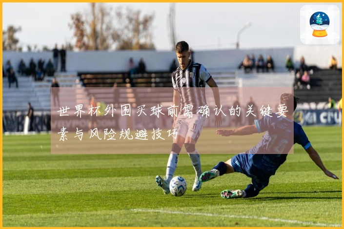 世界杯外围买球前需确认的关键要素与风险规避技巧