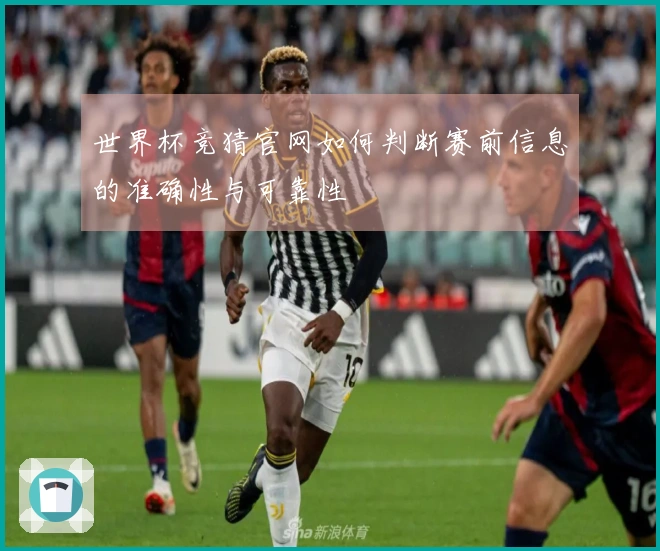 世界杯竞猜官网如何判断赛前信息的准确性与可靠性