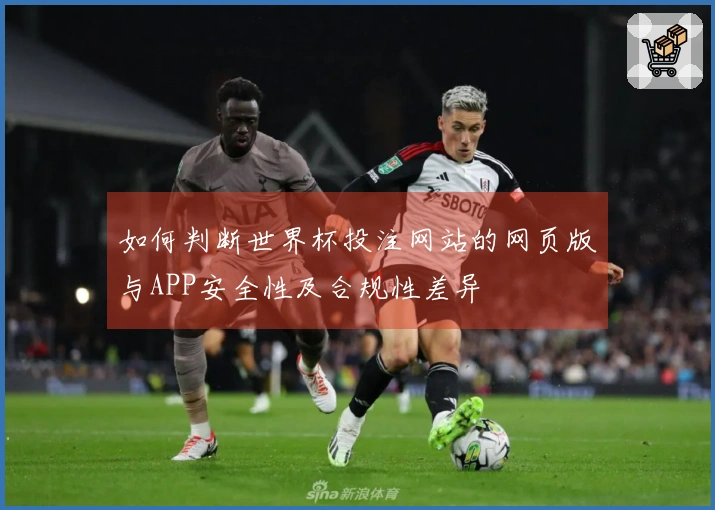 如何判断世界杯投注网站的网页版与APP安全性及合规性差异