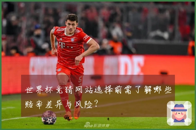 世界杯竞猜网站选择前需了解哪些赔率差异与风险？