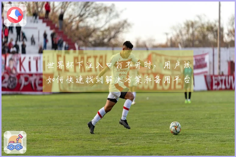 世界杯下注入口打不开时，用户该如何快速找到解决方案和备用平台？