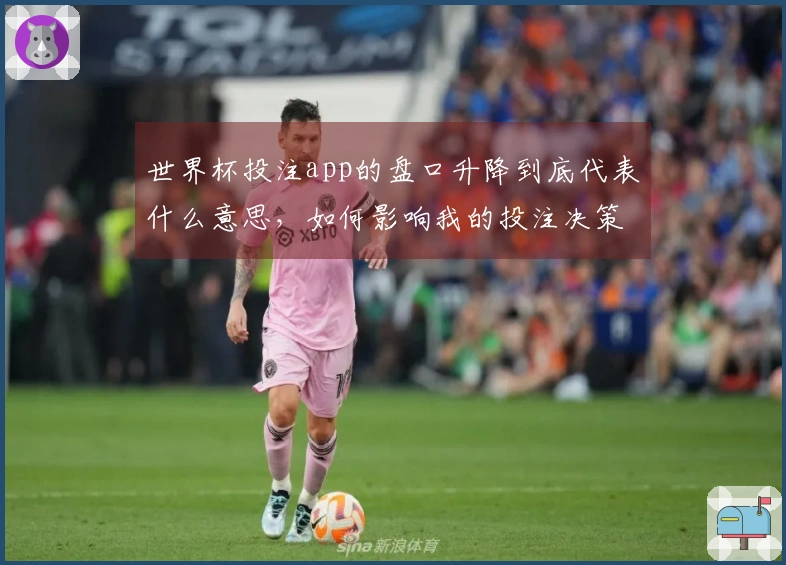 世界杯投注app的盘口升降到底代表什么意思，如何影响我的投注决策？
