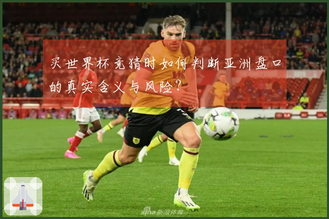 买世界杯竞猜时如何判断亚洲盘口的真实含义与风险？
