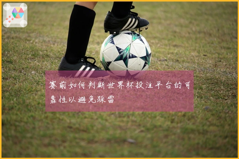 赛前如何判断世界杯投注平台的可靠性以避免踩雷