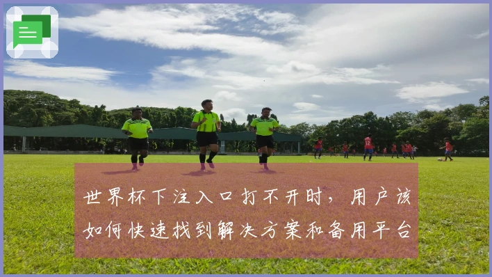 世界杯下注入口打不开时，用户该如何快速找到解决方案和备用平台？