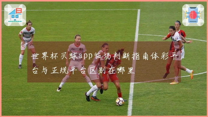 世界杯买球app临场判断指南体彩平台与正规平台区别在哪里