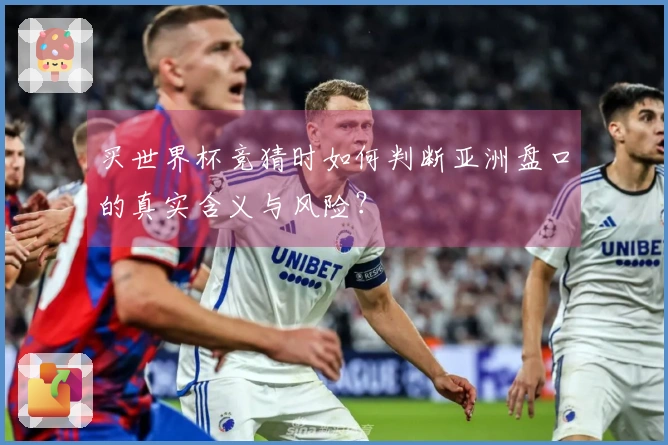 买世界杯竞猜时如何判断亚洲盘口的真实含义与风险？