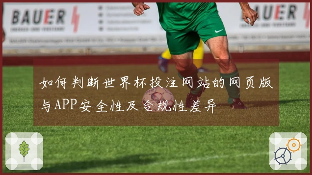如何判断世界杯投注网站的网页版与APP安全性及合规性差异