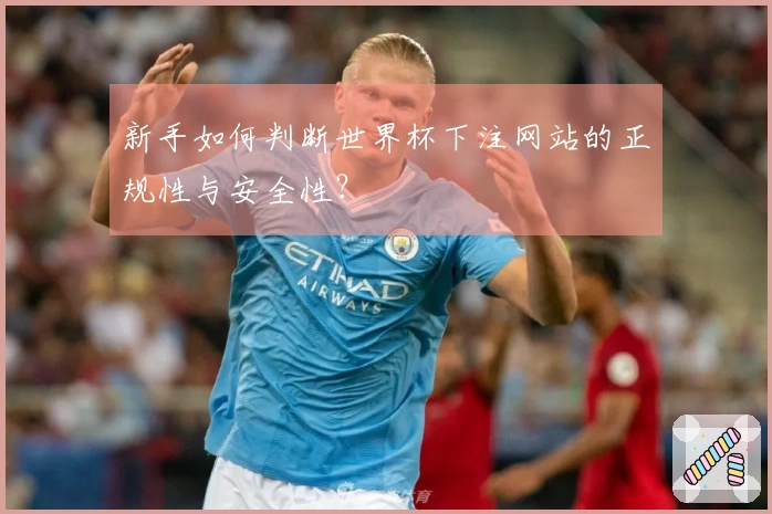 新手如何判断世界杯下注网站的正规性与安全性？