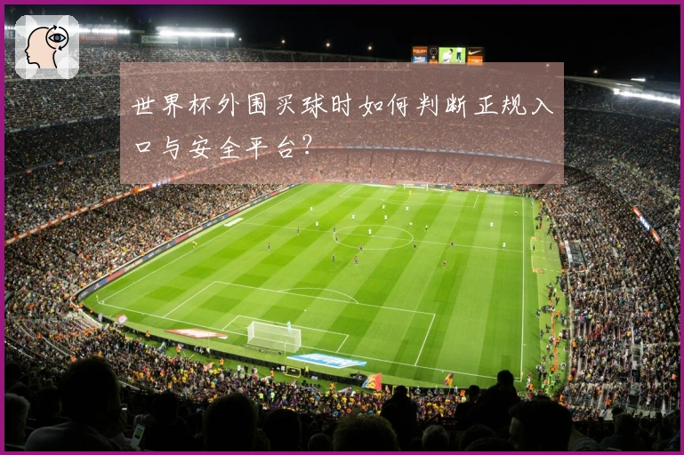 世界杯外围买球时如何判断正规入口与安全平台？