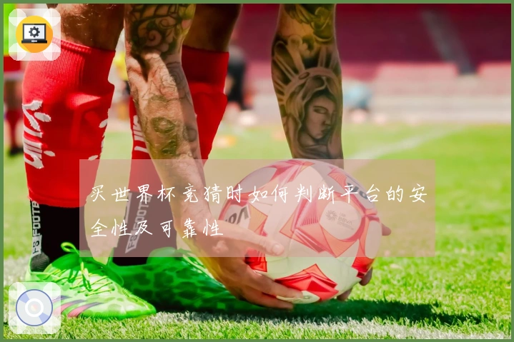 买世界杯竞猜时如何判断平台的安全性及可靠性