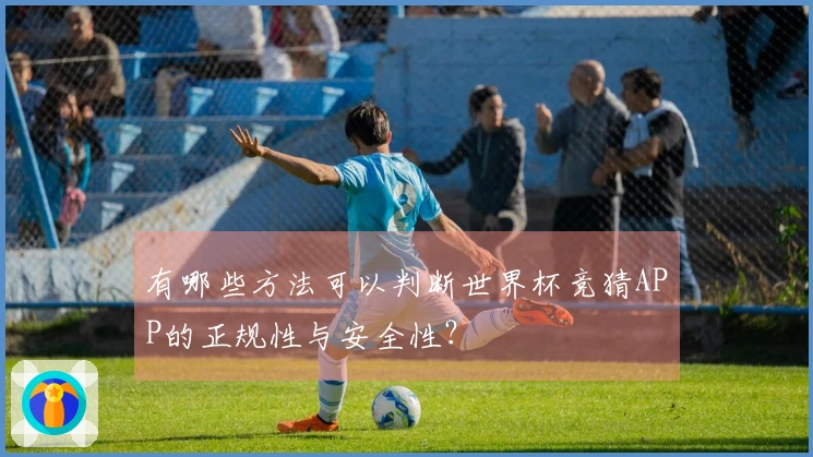 有哪些方法可以判断世界杯竞猜APP的正规性与安全性？