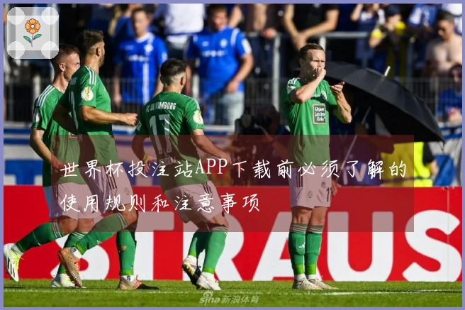 世界杯投注站APP下载前必须了解的使用规则和注意事项