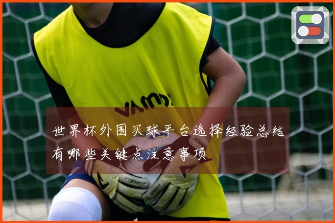 世界杯外围买球平台选择经验总结有哪些关键点注意事项