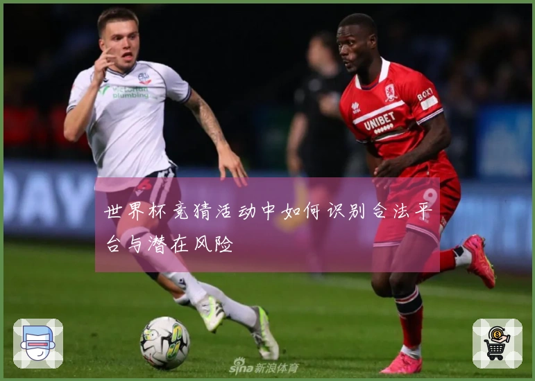 世界杯竞猜活动中如何识别合法平台与潜在风险
