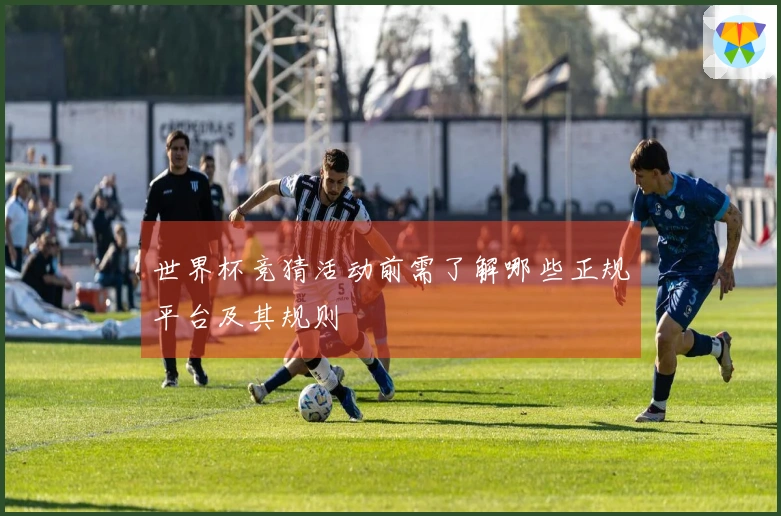 世界杯竞猜活动前需了解哪些正规平台及其规则