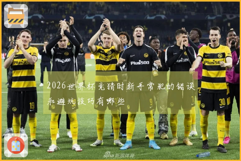 2026世界杯竞猜时新手常犯的错误和避坑技巧有哪些